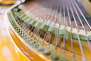 Grand Piano Strings in Closeup