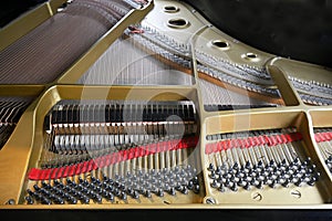 Grand Piano Strings & Hammers Closeup 1