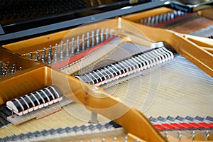 Grand piano strings