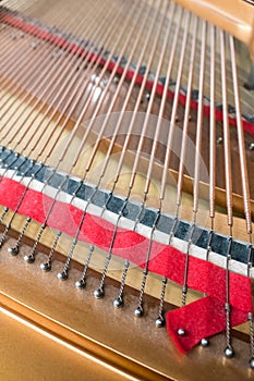 Grand piano strings. Piano inside