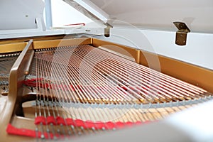 Grand piano strings, playing music