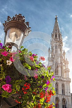 Grand Place, Brussels, Belgium