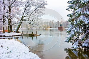 Grand pond in Catherine park in winter, Tsarskoe Selo Pushkin, Saint Petersburg, Russia