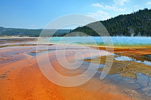 Grand Prismatic Hot Spring in Yellowstone