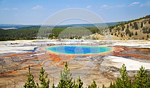 Grand Prismatic Hot Spring in Yellowstone photo