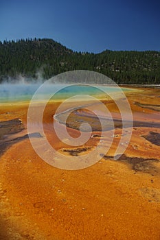 Grand Prismatic Pool in Yellowstone National Park