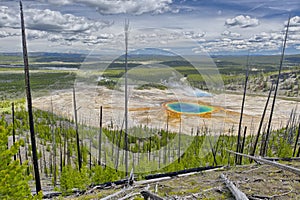 Grand Prismatic Spring from Picture Hill