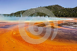 Grand Prismatic spring, Yellowstone National Park