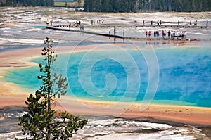 Grand Prismatic spring, Yellowstone National Park