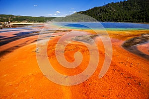 Grand Prismatic Spring in yellowstone USA