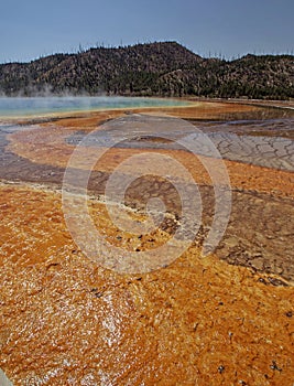 Grand Prismatic Springs Yellowstone