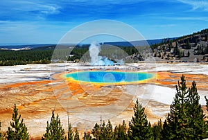 Grand Prismatic Springs Yellowstone National Park Wyoming photo