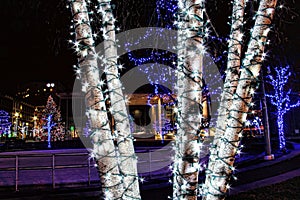 Grand Rapids Christmas Lights