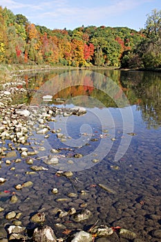 Grand River Autumn Reflection