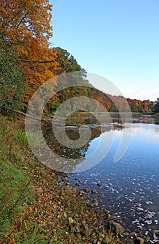 Grand River Autumn Vertical