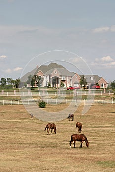 Grand Rural Estate With Horses 2