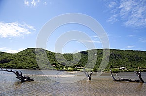 Grand Saline at St. Barths, French West Indies