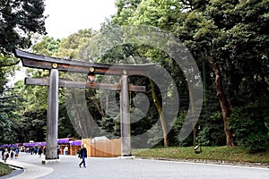 Torii Gate at the entrance of the Meiji Jingu shrine, in Tokyo