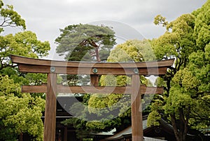 Grand Shrine Gate at Meiji Jingu Temple, Tokyo photo