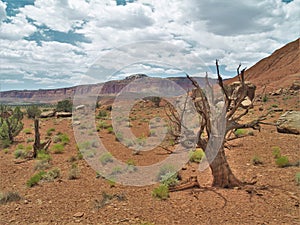 Grand Staircase-Escalante National Monument