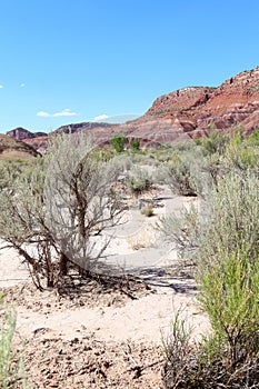 Grand Staircase Escalante National Monument, Utah