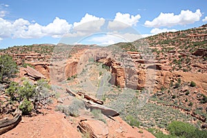 Grand Staircase Escalante National Monument in Utah, USA