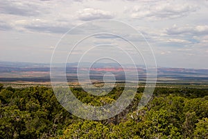 Grand Staircase from viewpoint in Kaibab National Forest, Arizona