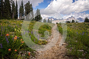 Grand Teton Hiking Trail