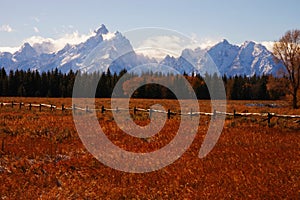 Grand Teton Mountains