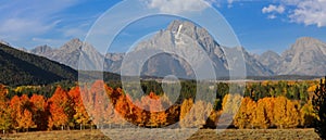 Grand Teton mountains with colorful fall foliage