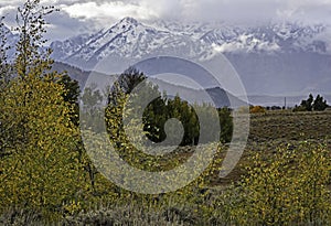 The Grand Teton Mountains covered with snow.