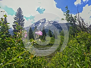 Grand Teton Mtns Of Wyoming