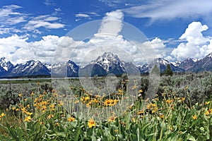 Grand Teton National Park