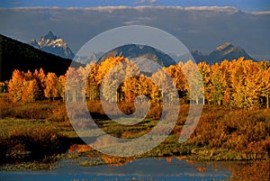 Grand Teton National Park