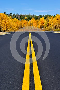 Grand Teton National Park in autumn