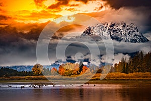 Grand Teton National Park Cloudy Sunrise Fall Colors