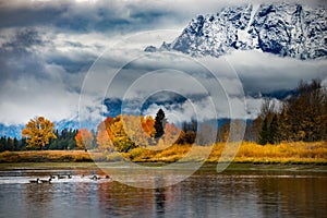 Grand Teton National Park Fall Colors