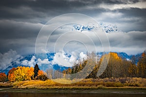Grand Teton National Park Fall Colors
