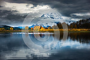 Grand Teton National Park Fall Colors