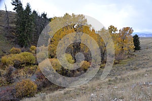 Grand Teton National Park has color all year around, though as winter approaches the color white dominates