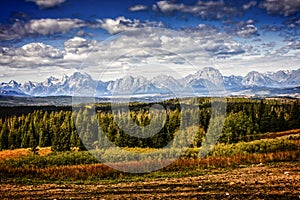 Grand Teton National park landscape