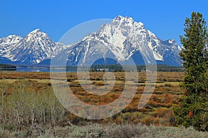 Grand Teton National Park, Snow-covered Mount Moran towering above Jackson Lake and Open Meadows, Wyoming, USA