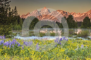 Grand Teton Peaks