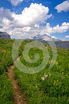 Grand Teton Scenic Hiking Path