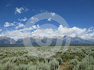 Grand Tetons