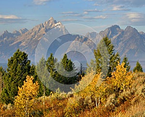 The Grand Tetons In Autumn