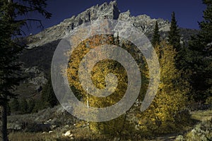 Grand Tetons Fall scenic landscapes