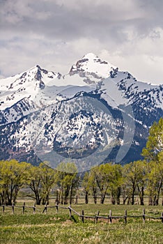 Grand tetons mountain