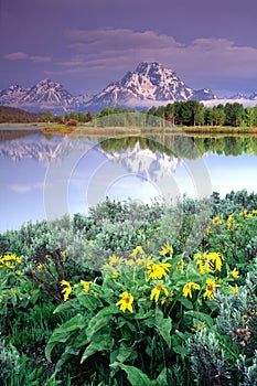 Grand Tetons Portraits photo