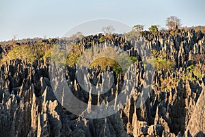 Grand Tsingy de Bemaraha